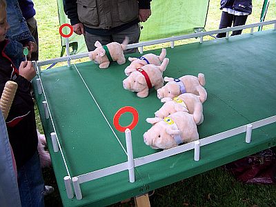 St Catherines Hospice - Pig Race